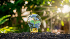 Energie verde: bula speculativă și riscul insolvenței - Piperea & Asociații - firma avocatura